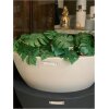 MONSTERA EN RAMA - Image 4