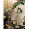 MONSTERA EN RAMA - Image 3
