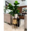 ARBOL DECORATIVO LIRA DOBLE - Image 2