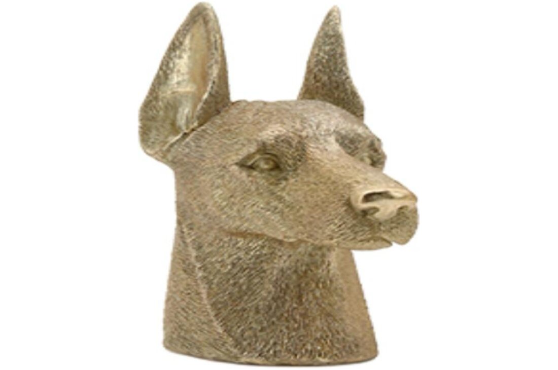 FIGURA VIONA