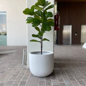 MACETA SAETA 50 BLANCA
