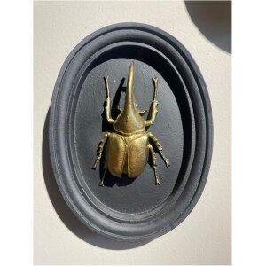 ACCESORIO DE PARED KIRIS