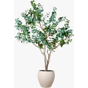 ARBOL DE EUCALIPTO