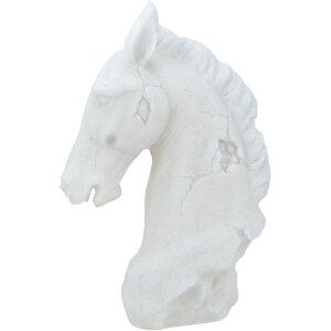 FIGURA AXIS