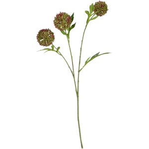 FOLLAJE FLOR DE CEBOLLA