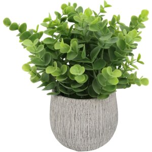 MACETA DE EUCALIPTO GRANDE