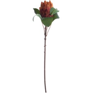 FLOR PROTEA NARANJA