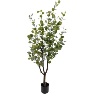 ARBOL EUCALIPTO MEDIANO