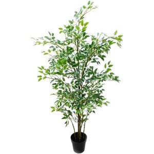 ARBOL FICUS CHICO
