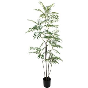 ARBOL LICUALO