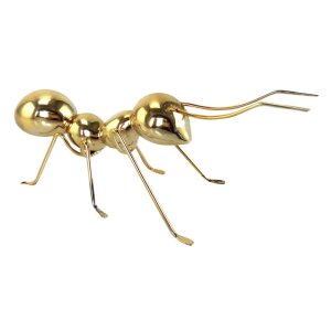 FIGURA NIRA