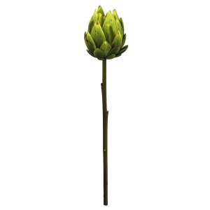 FOLLAJE FLOR CYNARA
