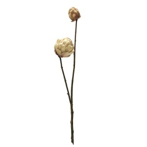 FOLLAJE FLOR DE PIÑA